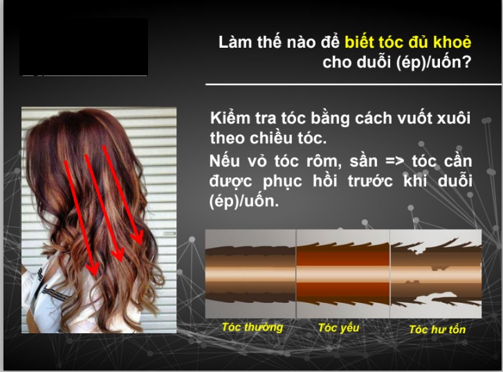 1 ed338b85 17e9 46f2 8453 b940d13c297d