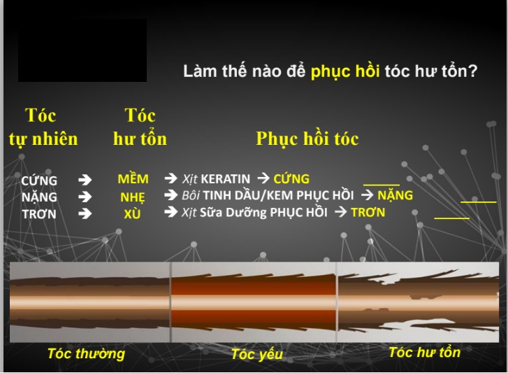 2 6c800b71 376f 43a9 ac5b 055de8164def